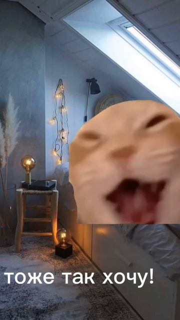 Всё именно так и есть. ;0 смотреть онлайн