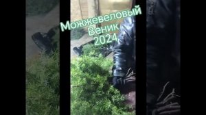 Веник для бани из можжевельника (вереска).