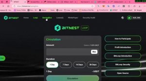 Я выбрал BitNest для инвестиций в 2025