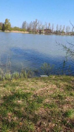 Мотивация избавит вас от невроза и всд.