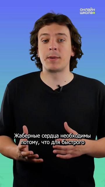 Сколько сердец у осьминога? смотреть онлайн
