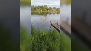 Ертарский пруд Свердловская область