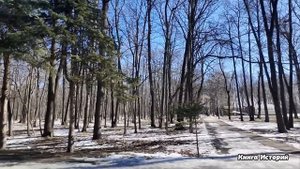 Моя клуша за рулем, что обезьяна с гранатой, смеялся му