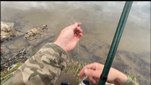 Спинингист от боКа / как не надо рыбачить на спиннинг/ рыба сама выпрыгивает на берег