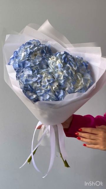 Гортензии 3 «Голубое облачко»🦋 смотреть онлайн