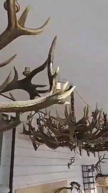 Люстры из рогов на заказ. Рога в интерьере. смотреть онлайн