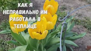 МАЙ.Мой сельский огород.Новые рыхлители, как и что..