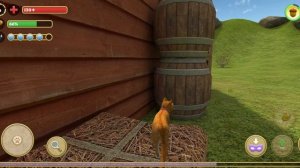 Я играю в симулятор кота и кошки! #2 #симуляторкота