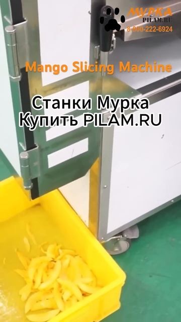 Мурка Cтанок для нарезки овощей и фруктов FC-301L / Vegetable and