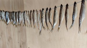 Рецепт.Вялим сушим солим речную рыбу,мелочь закуска к пенному,очень вкусная