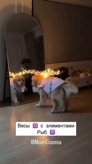 #мем #юмор #астромемы #астроюмор #приколы #шутки #астрол
