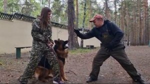 Марвил Юнион Тайфун 🌀