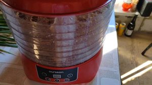 Сушка долек лимонов в сушилке для овощей и фруктов.