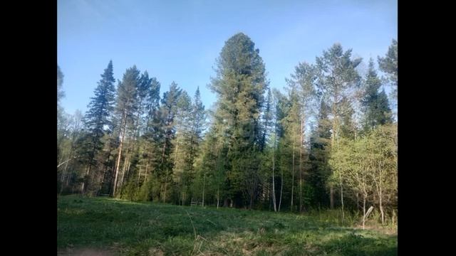 Земельный участок в с. Турочак смотреть онлайн