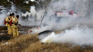 Ситуация стала критической: в Забайкалье горят гектары лесов