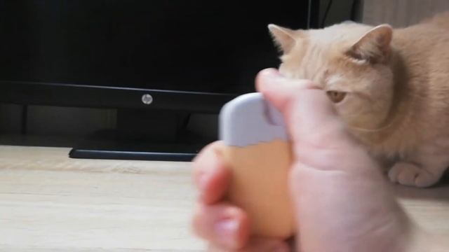 Мои зажигалки смотреть онлайн