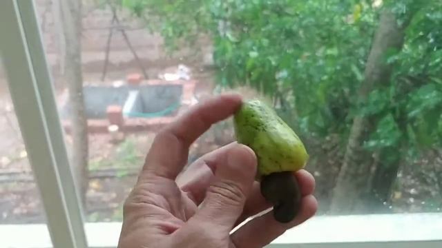 7 июля 2019 года ... что-то пошло не так. Видео из Инстаграмма не удалось прикрепить смотреть онлайн