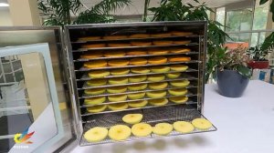 Electric food dehydrator. Электрическая сушилка продуктов.
