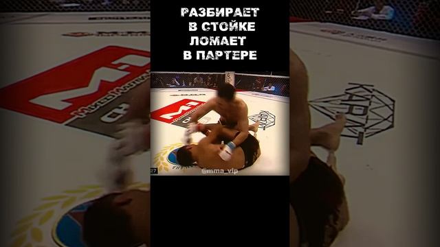 🔥🔥🔥 НУРМАГОМЕДОВ УМАР | UMAR NURMAGOMEDOV #mma #ufc смотреть онлайн