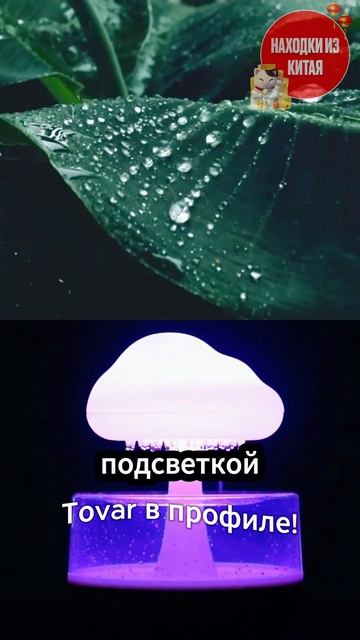 Увлажнитель воздуха гриб смотреть онлайн