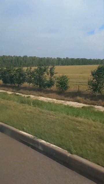 после вчерашнего ливня⛈сегодня Белгород прекрасная ? смотреть онлайн