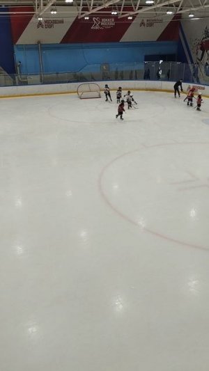хоккей