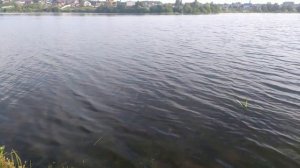 Физика 7 класс. Параграф №24  Явление тяготения, сила тя