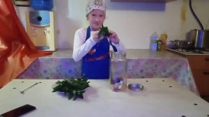 Яблочный сок с мятой!!!