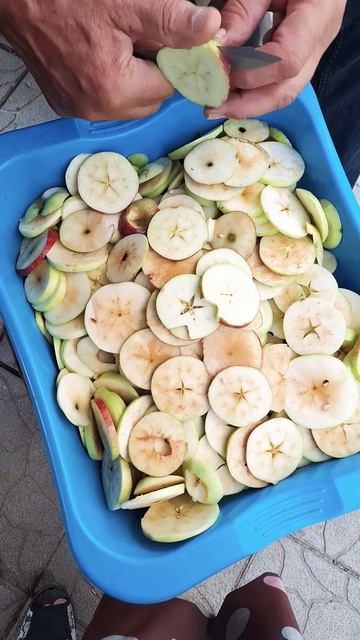 Барбарис сушу на зиму смотреть онлайн