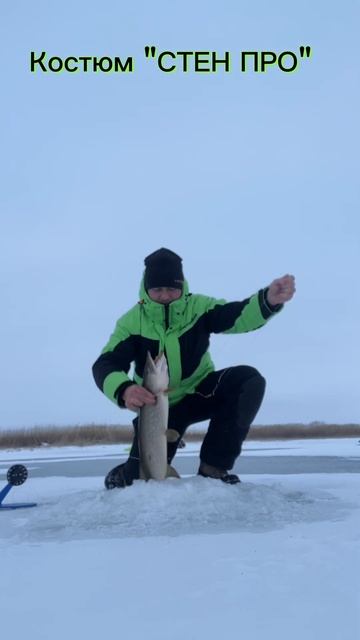 Первая Щука 🎣❄️ Как думаете сколько вес? #tritongear #рыба смотреть онлайн