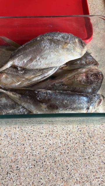 Как я вялую рыбу в США разморозка в холодильнике. смотреть онлайн