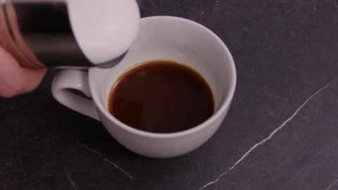 Капучинатор Zigmund & Shtain ZMF-450