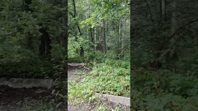 ПАРКИНГ В ЛЕСУ (ПРИВАЛ ВРЕМЕН СССР) #влог #vlog #стоянка #привал смотреть онлайн