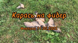 Летняя рыбалка Карась Ловля на фидер Весна 2025