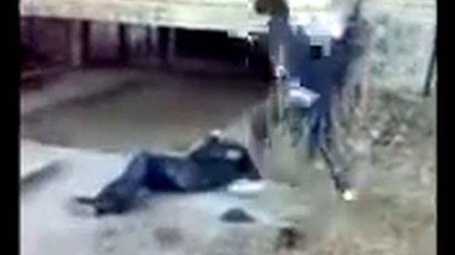 Борец против боксера смотреть онлайн