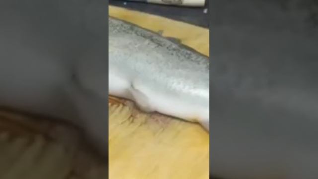 Рыба крутится 3:00 минуты под звук микроволновки смотреть онлайн