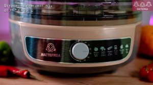 Сушилка Мастерица EFD-1004 3в1 с функциями приготовления й