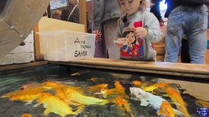 Милана пришла в Зоопарк и там милые животные