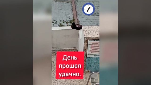 День прошел удачно. смотреть онлайн