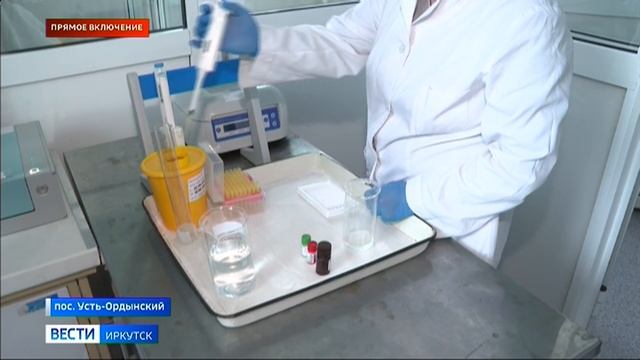 Эхирит-Булагатская ветеринарная лаборатория получила право проводить анализы на опасные заболевания