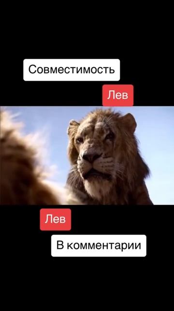 Совместимость Лев и Лев - 25%
