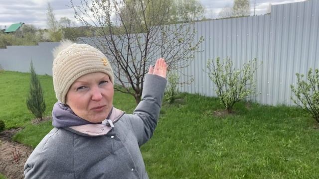 Готовимся к заморозкамОпять все накрыли26апреля2025