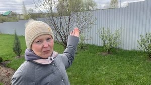 Готовимся к заморозкам#Опять все накрыли#26апреля2025