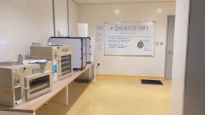 Впервые в Дубае: Что посмотреть, Погода в августе, Впеч