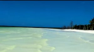 🌐Friendships ▶️(Lost My Love)🎧🔥