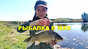 РЫБАЛКА в МАЕ! Хотели поймать КАРПА! #fishing #рыбалка #карп #карась
