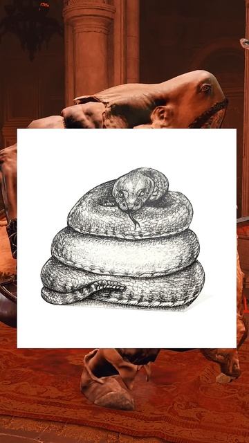 АРИСТОКРАТЫ БОЖЕСТВЕННОЙ КОЖИ #eldenring #lore #darksouls смотреть онлайн