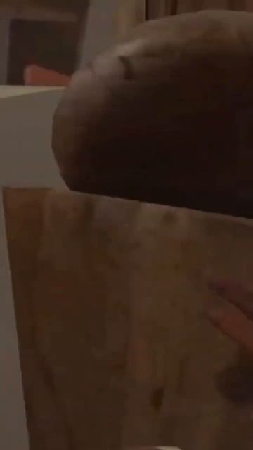 Это Крис..фен! || outlast #shorts #games #outlas #music #love #travel #edm #youtube #rek смотреть онлайн