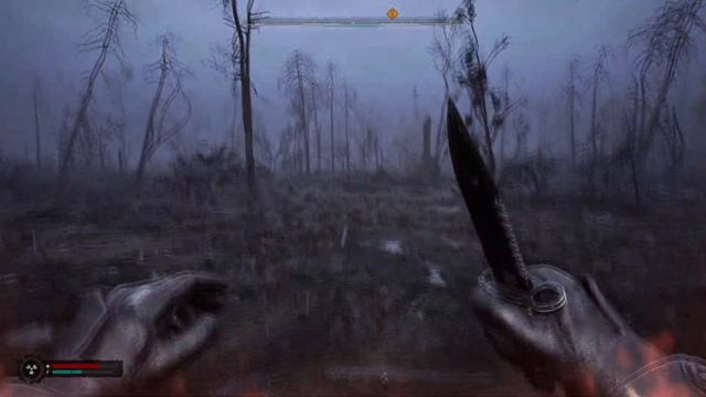 Сталкер 2 Аномалия Хлопушка