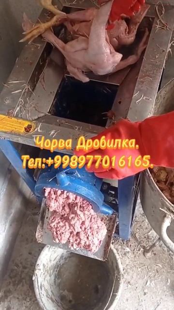 #мясорубка #курица #рыба #сомы #африканский #дробилка #д смотреть онлайн